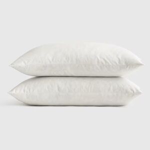 NWOT QUINCE Set Of 2 Premium Feather Pillow Inserts 12x20 5568